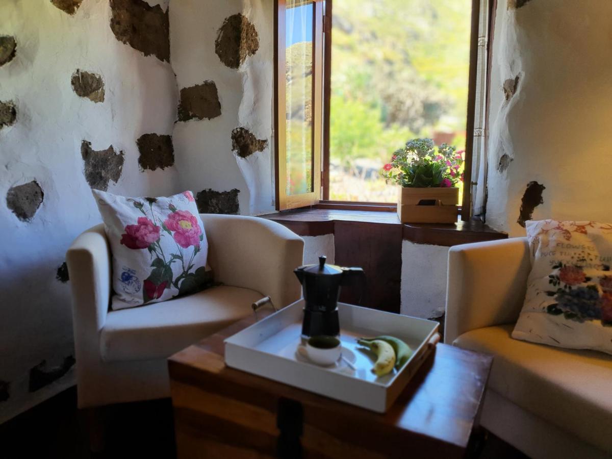 Vina Camello Holiday home