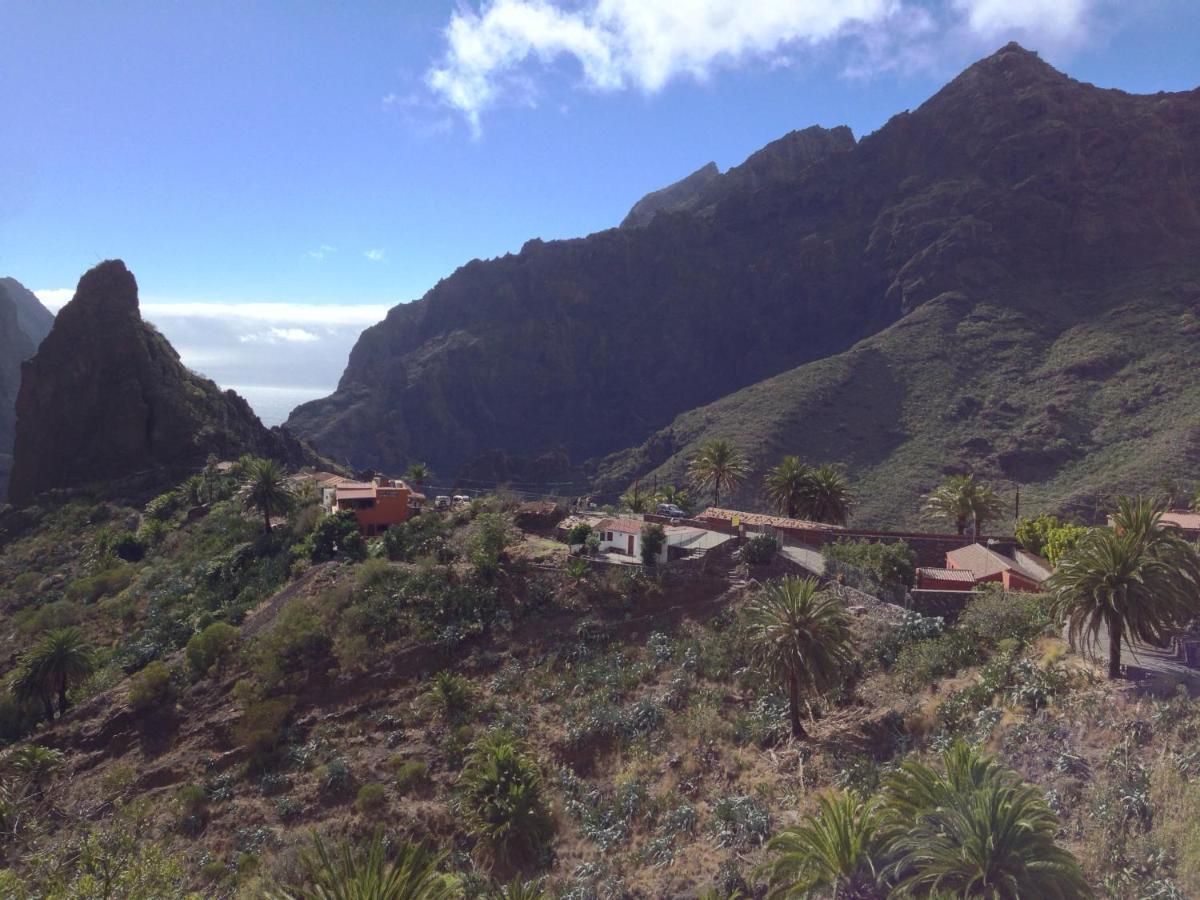 Maison d'hôtes Wifi Tenerife Sur Granadilla De Abona