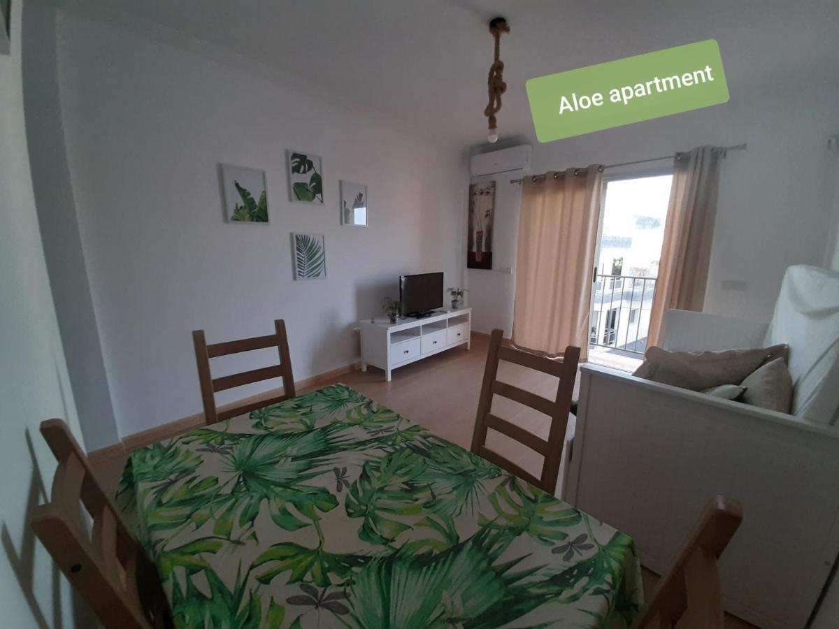 Tenerife - Aloe & Cactus Apartment *