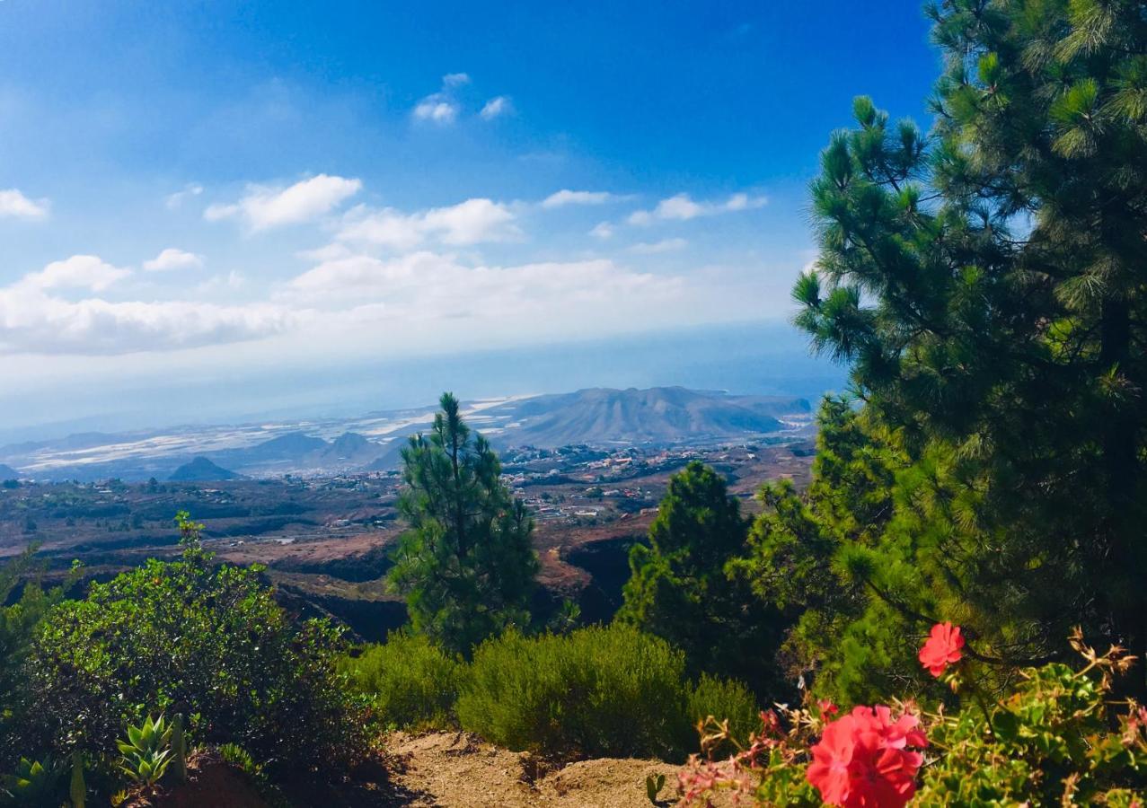 Hébergement de vacances Tenerife Nature Retreat