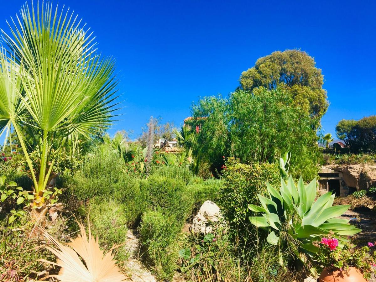 Tenerife Nature Retreat Ifonche