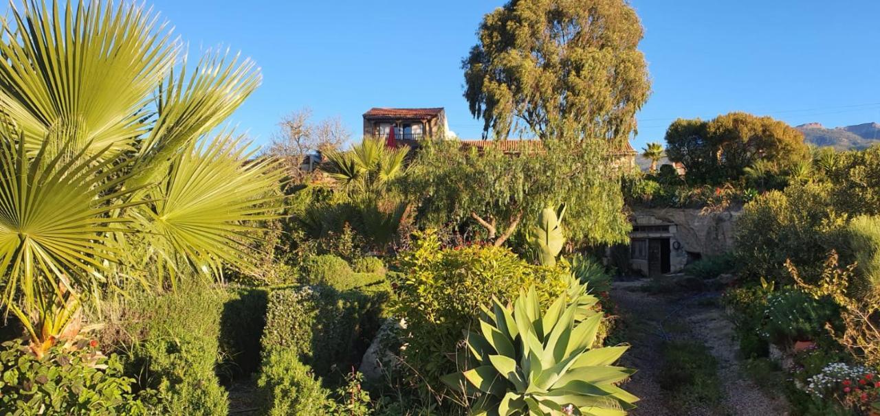 Hébergement de vacances Tenerife Nature Retreat Ifonche