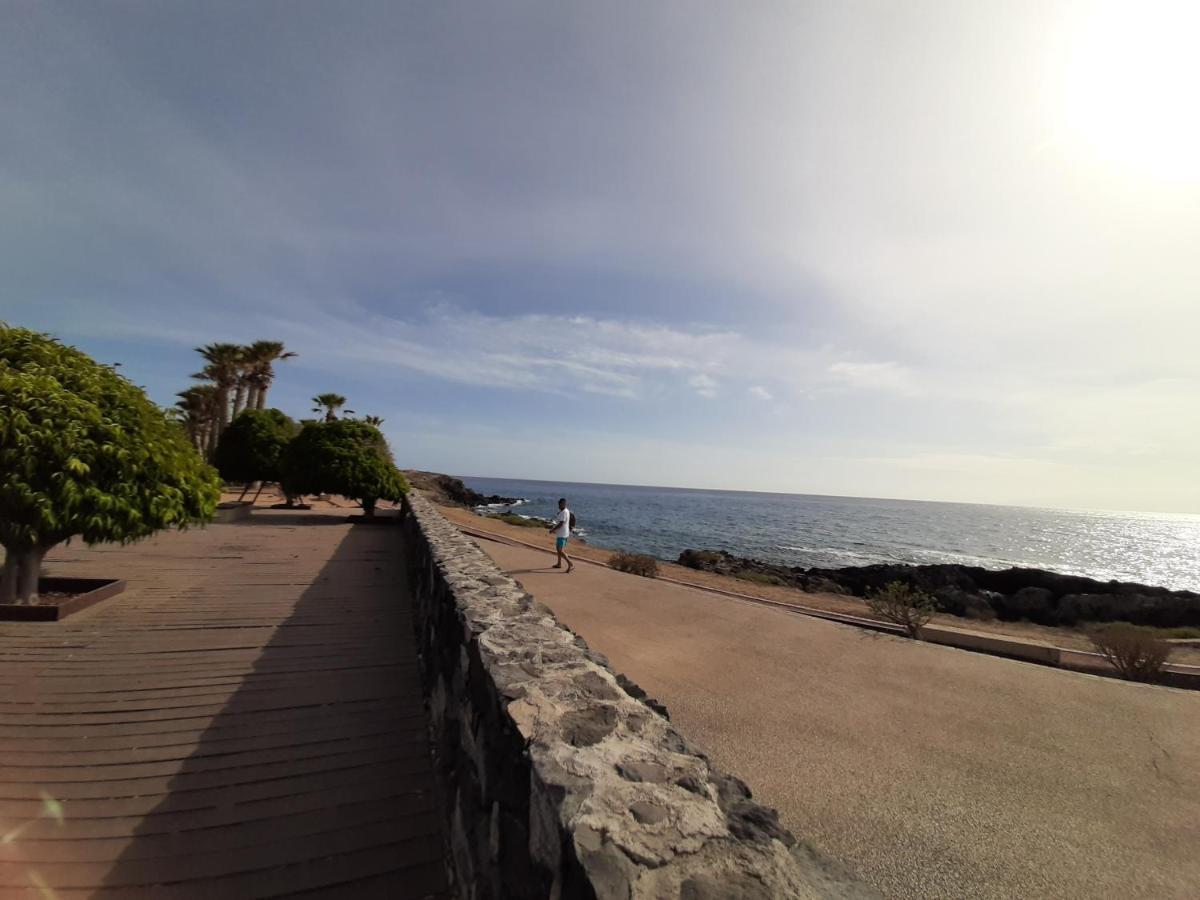 Tenerife - Aloe & Cactus