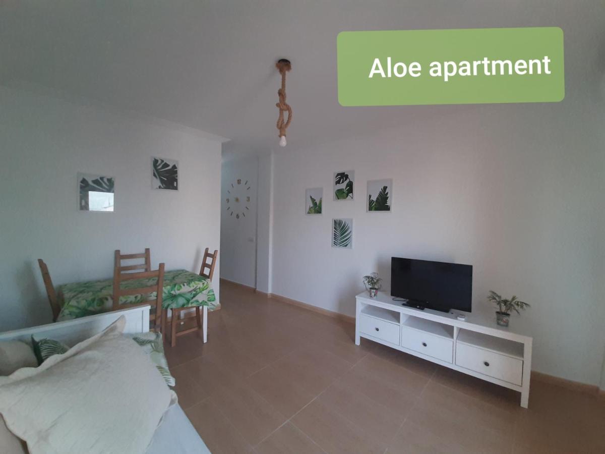 Apartment Tenerife - Aloe & Cactus Alcala (Tenerife)