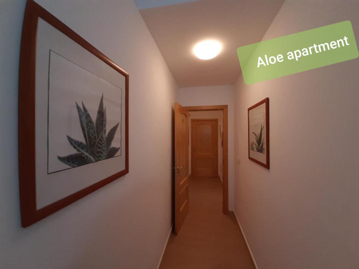 Apartment Tenerife - Aloe & Cactus *