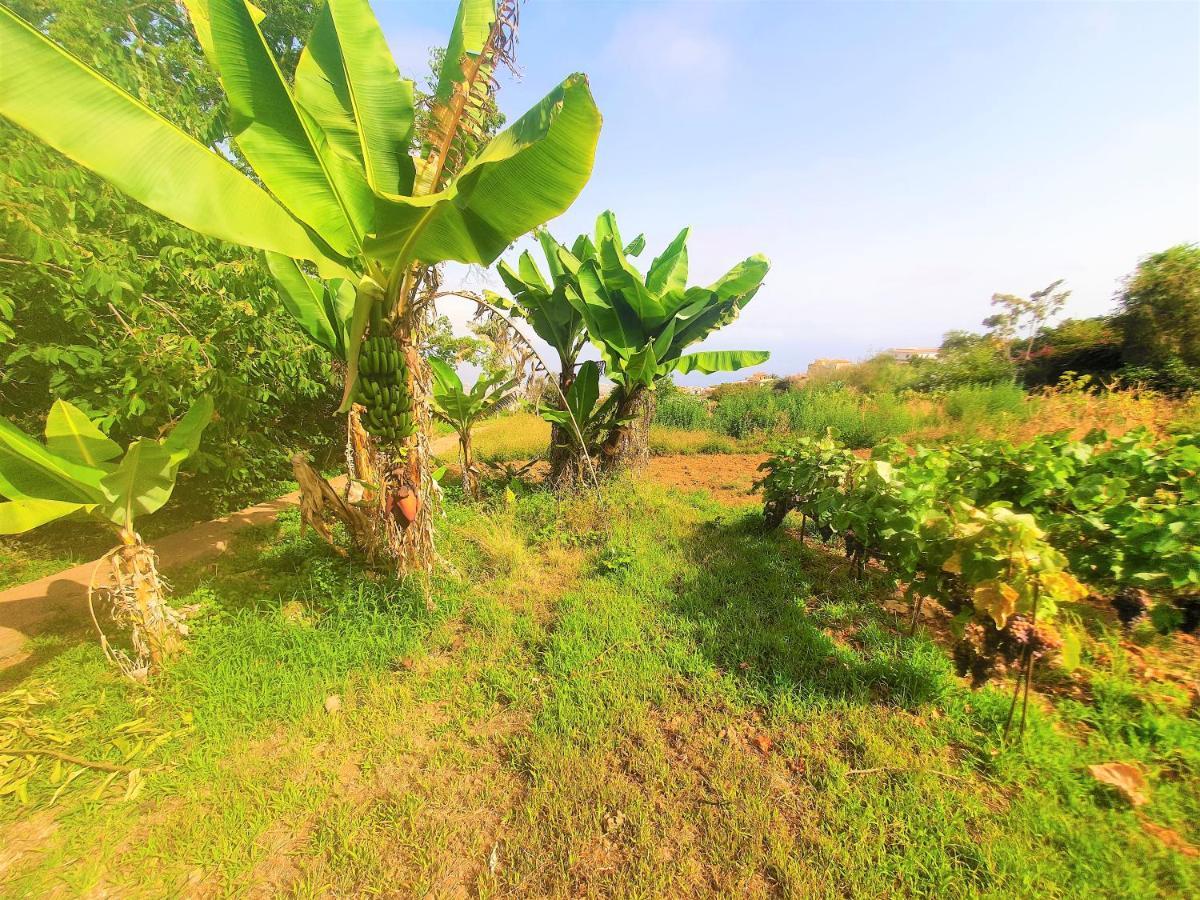 Holiday home Casa En Ecologica - Wifi