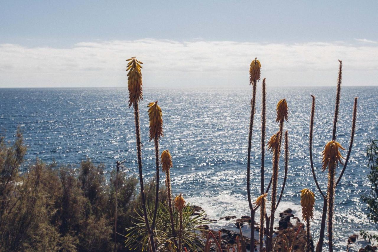 Canary Casita Next To The Atlantic Ocean *
