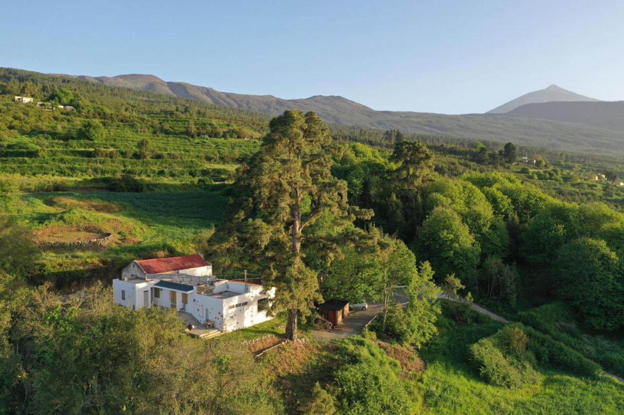 El Pino Centenario 8 Villa La Orotava