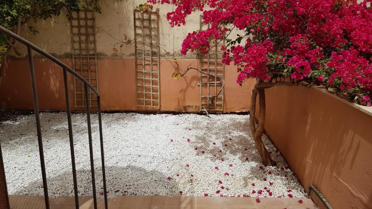 Aparthotel Strelitzia Park San Miguel de Abona
