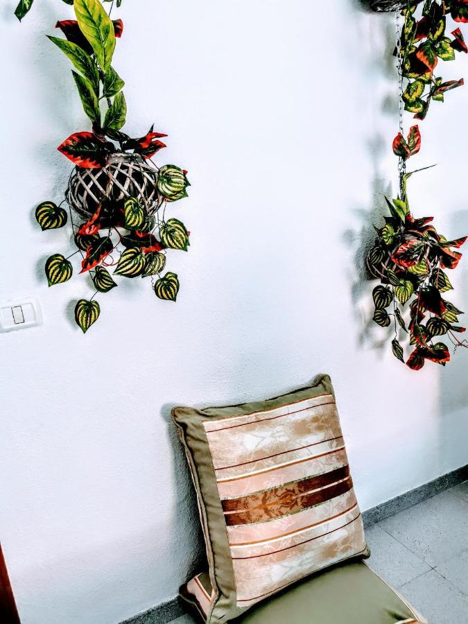 Casapatrizia Compartido Maison d'hôtes Santa-Cruz de Ténérife