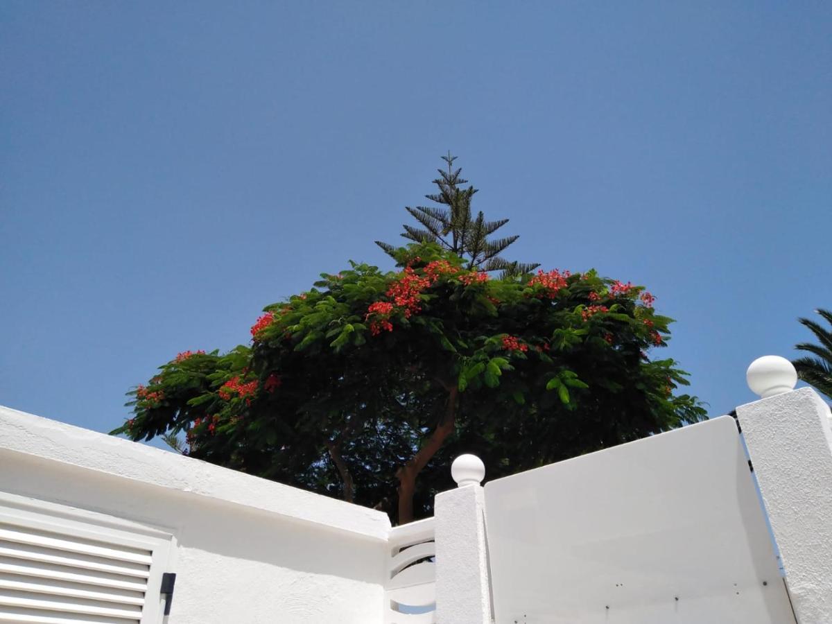 House Lilu - Luminoso Monolocale