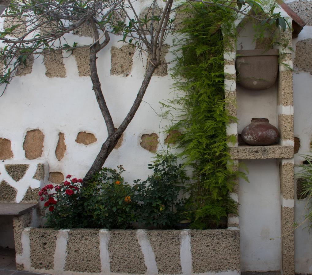 Hébergement de vacances Casa El Pino Vilaflor
