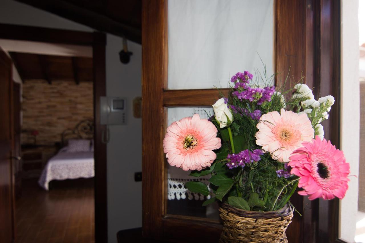 Hébergement de vacances Casa El Pino *