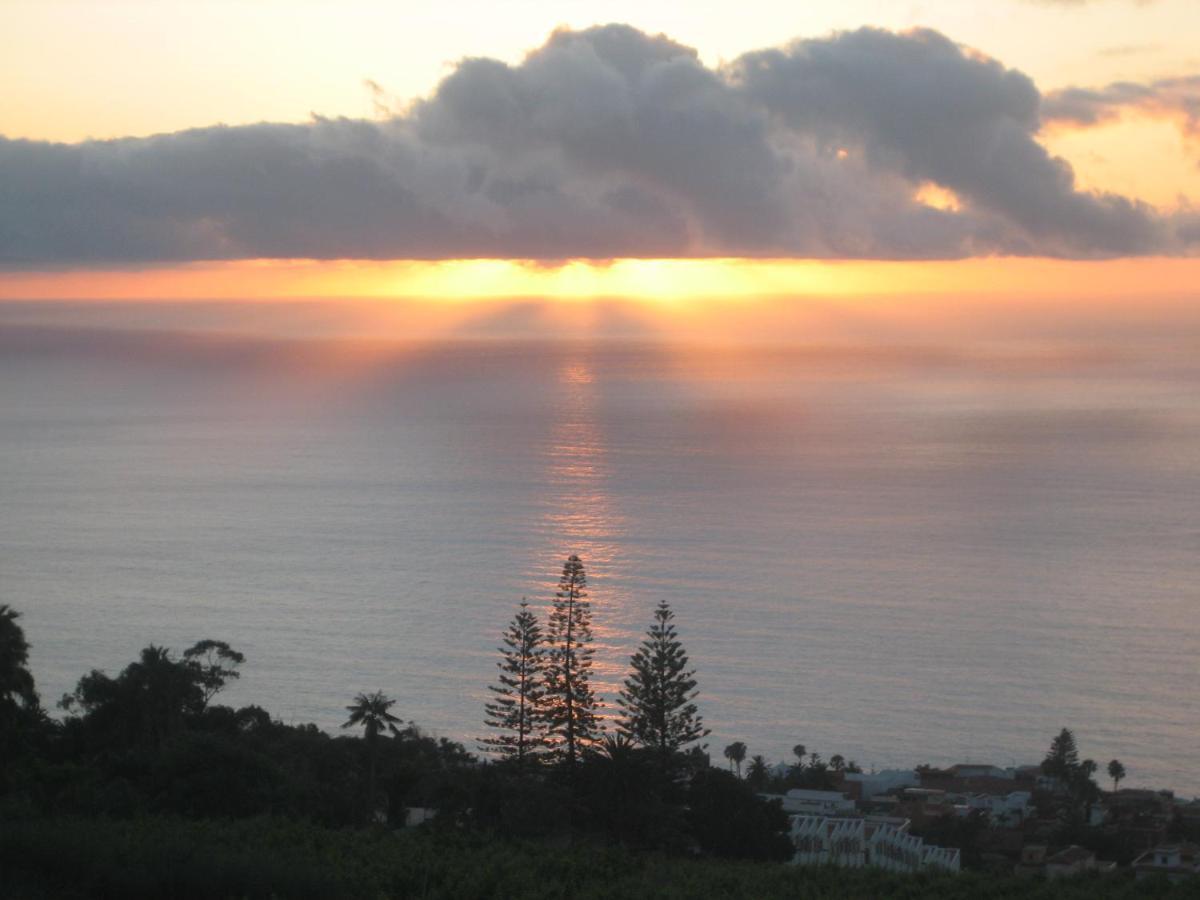Apartment Comfortable In The North Of Tenerife *