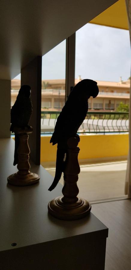 Playa Vistas Loft Apartamento *