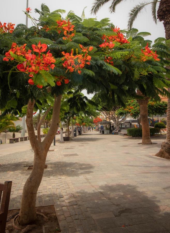 Apartamento Cristianos
