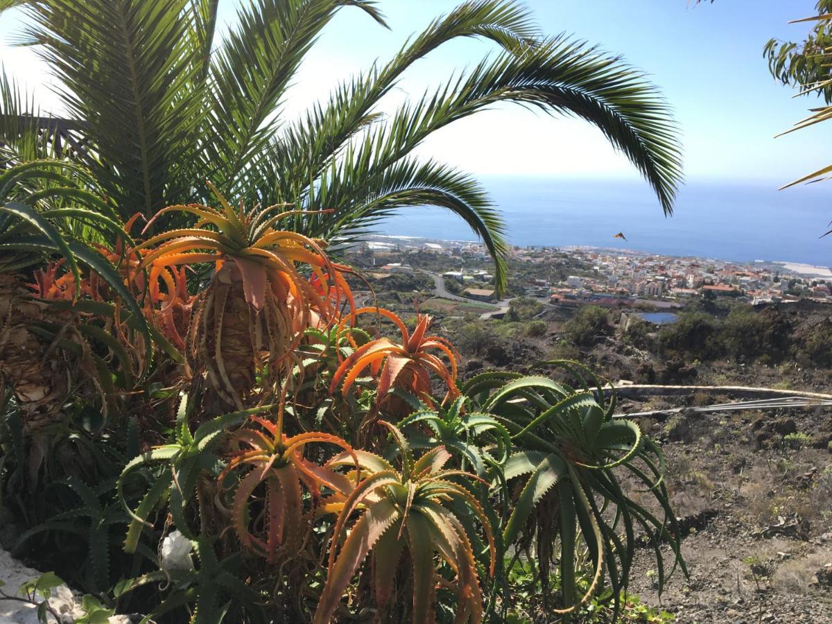 Rosamar Apartment Los Cristianos (Tenerife)