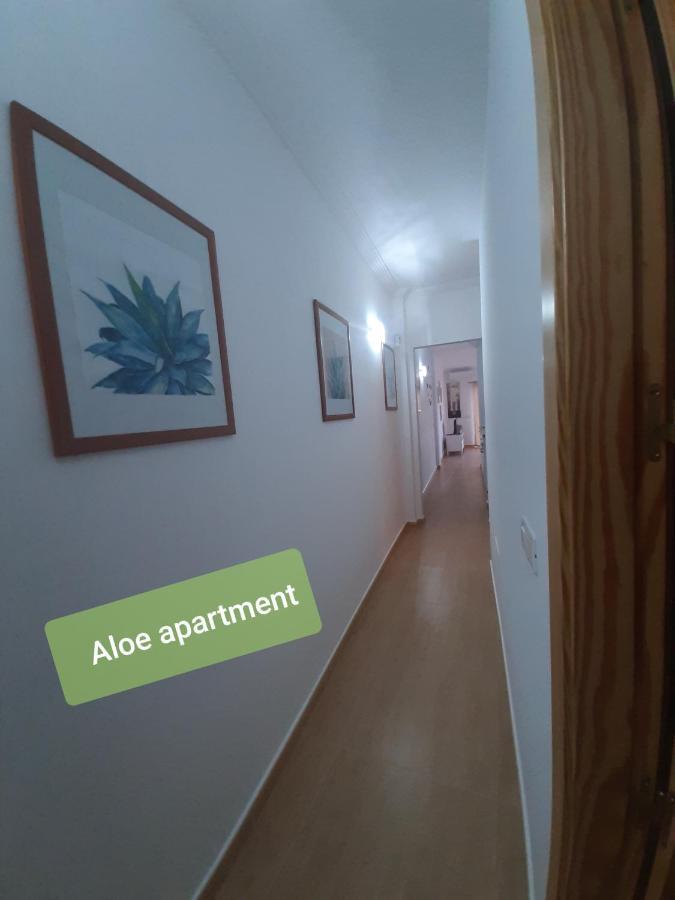 Tenerife - Aloe & Cactus Apartment