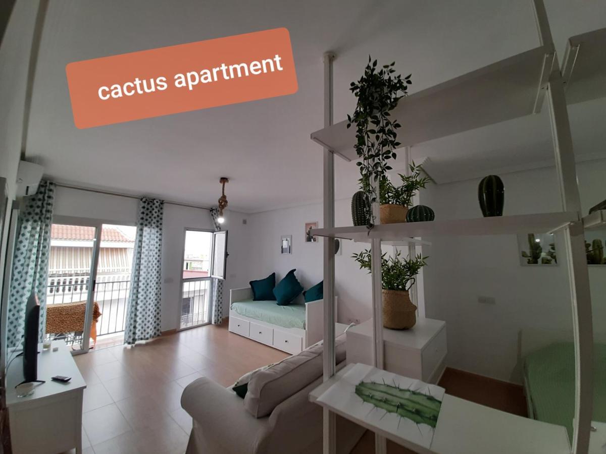 Apartment Tenerife - Aloe & Cactus Alcala (Tenerife)