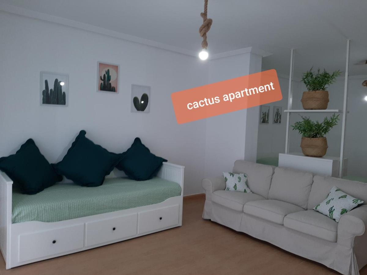 Apartment Tenerife - Aloe & Cactus *