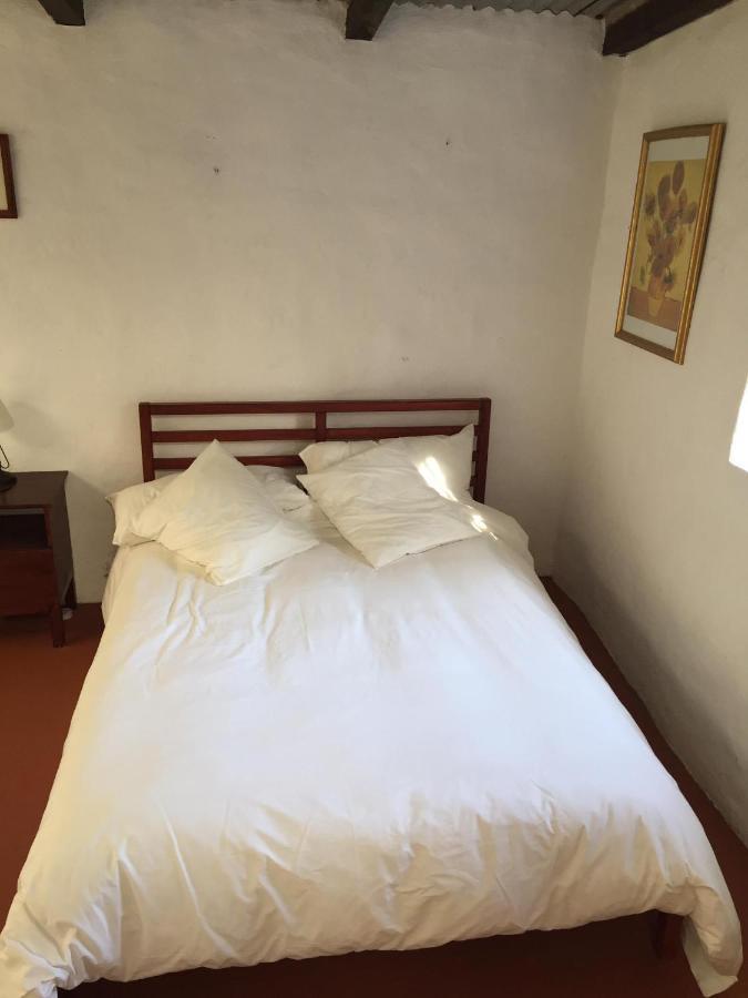Holiday home Dragos Del Mar , Espacio Natural La Orotava