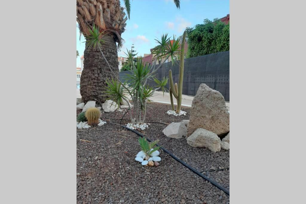 Playa Amarilla Apartment,sea,sun And Relax Arona (Tenerife)