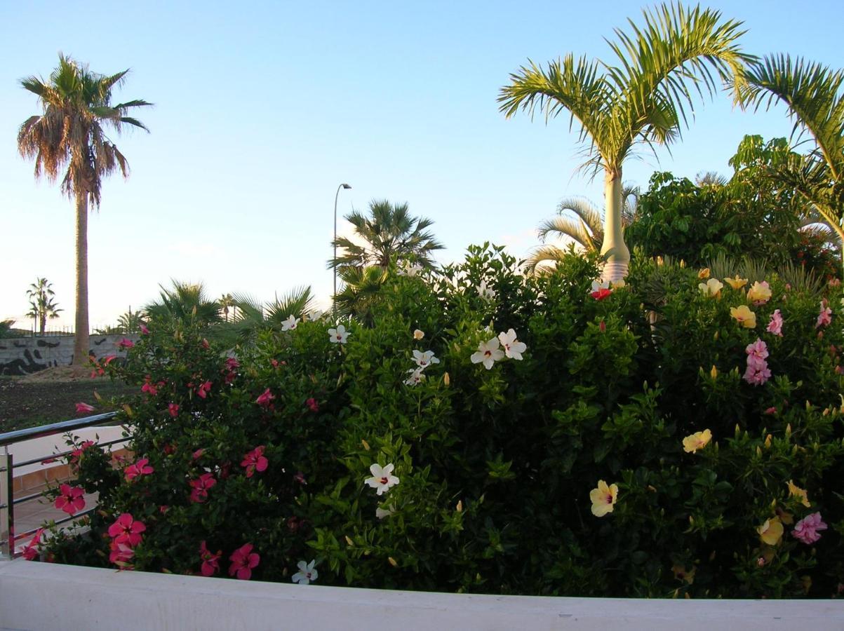 Apartamento Parque Don José 341