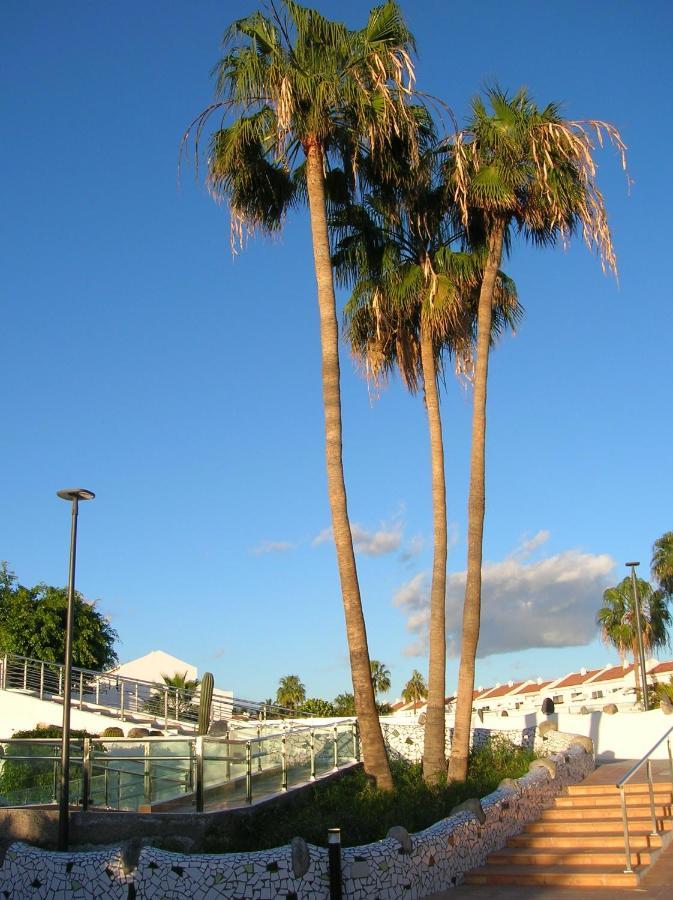 Apartment Parque Don Jose 341 *