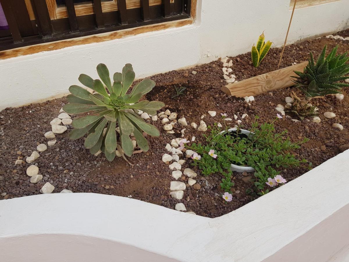 Mantra Del Sur Apartment Los Cristianos (Tenerife)