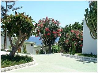 Hotel Tenerife Tour Tenerife Island