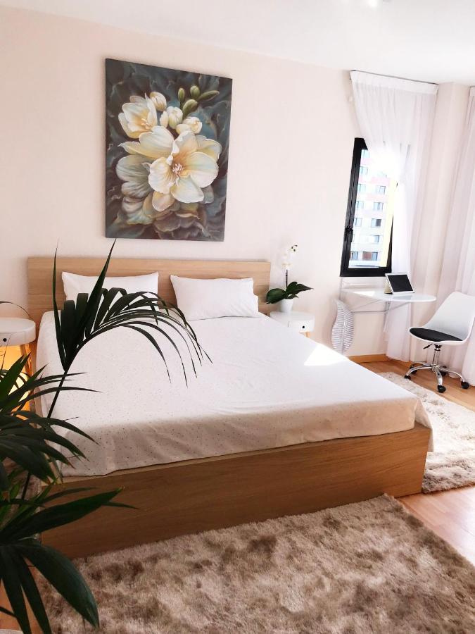 Viparaiso Appartement