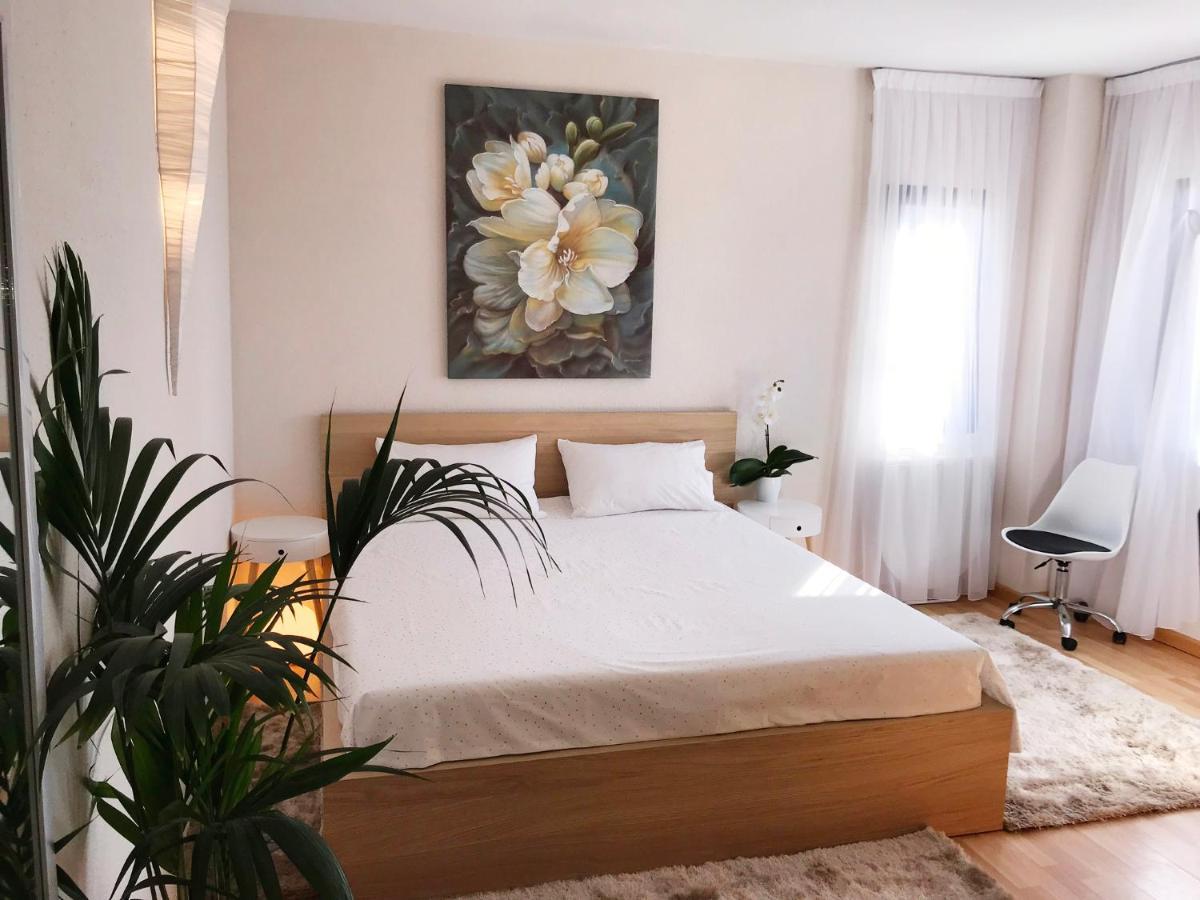 Viparaiso Appartement