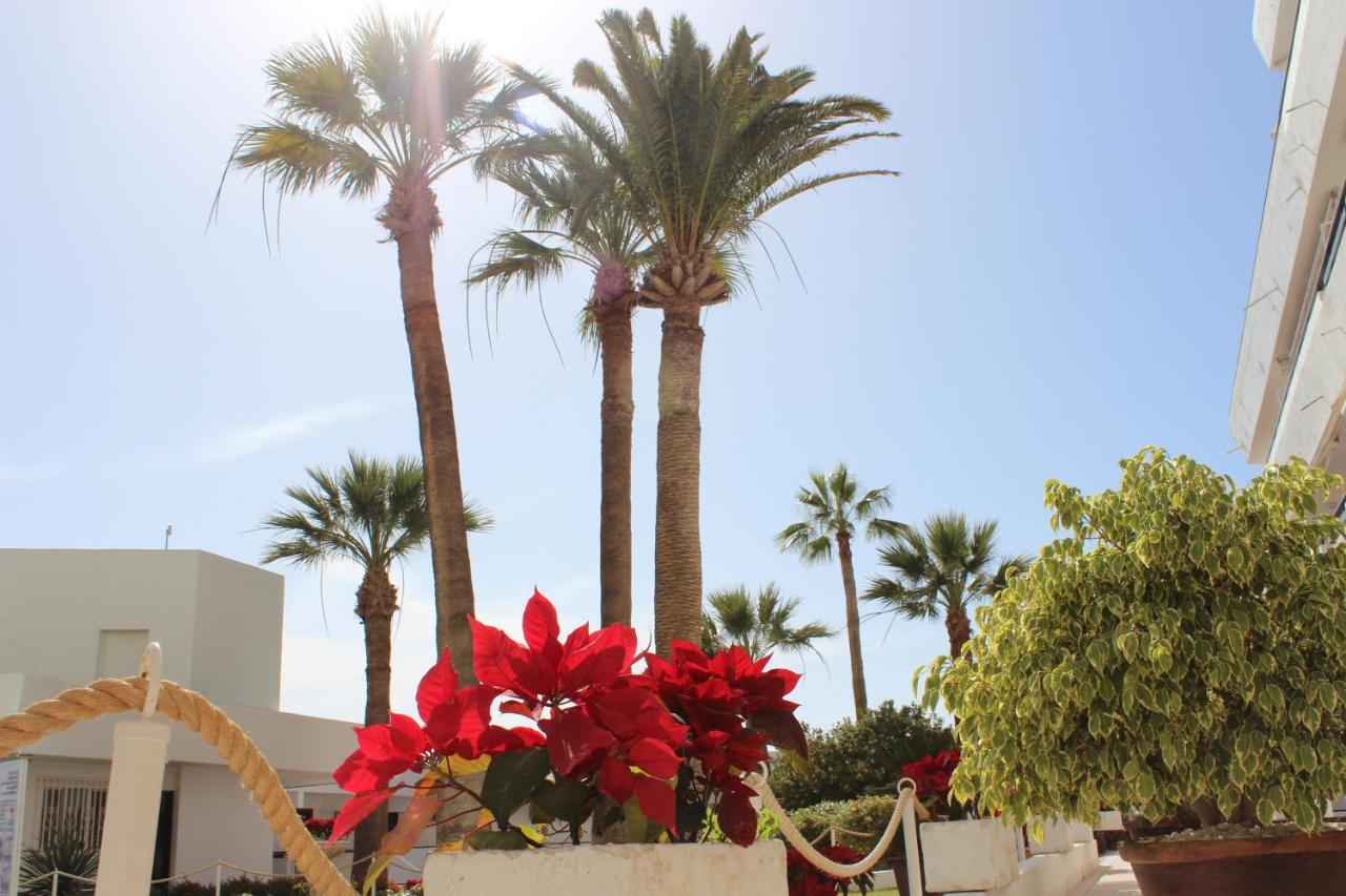 Club Mar - First Line With Sea View Costa Adeje (Tenerife)