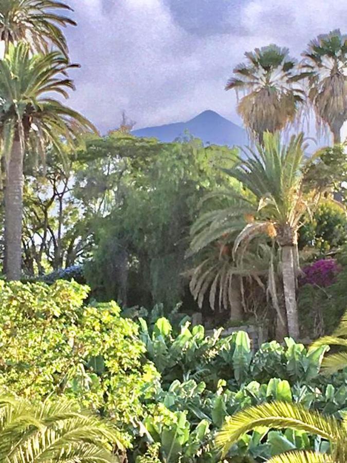 Apartamento With 2 Bedrooms In Puerto De La Cruz With Wonderful Sea View Shared Pool Terrace 200 M Fro Tenerife Island