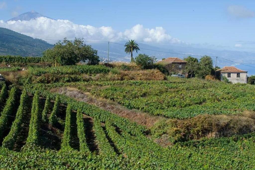 Hébergement de vacances Preciosa Casa Tfe Norte, A 12km Puerto De La Cruz La Matanza De Acentejo