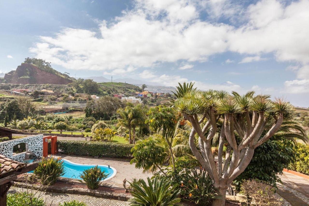 Vinedos Villa *