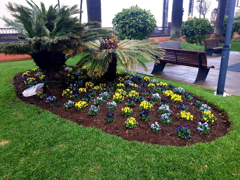 Holiday La Laguna Tenerife *