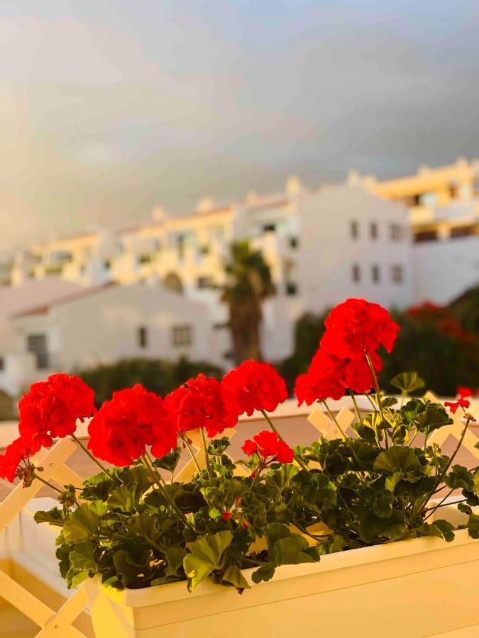 Appartement Buenavista In Windsor Park Costa Adeje (Tenerife)