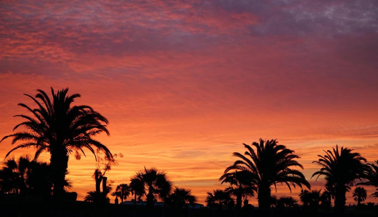 Appartement One Bedroom Apartment, Garden City, Heated Pool, Close To Playa Americas Playa de las Américas