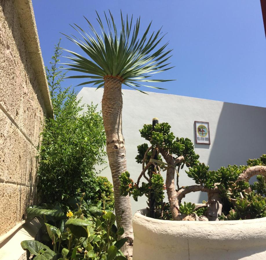 Palma Canaria Tenerife Adeje