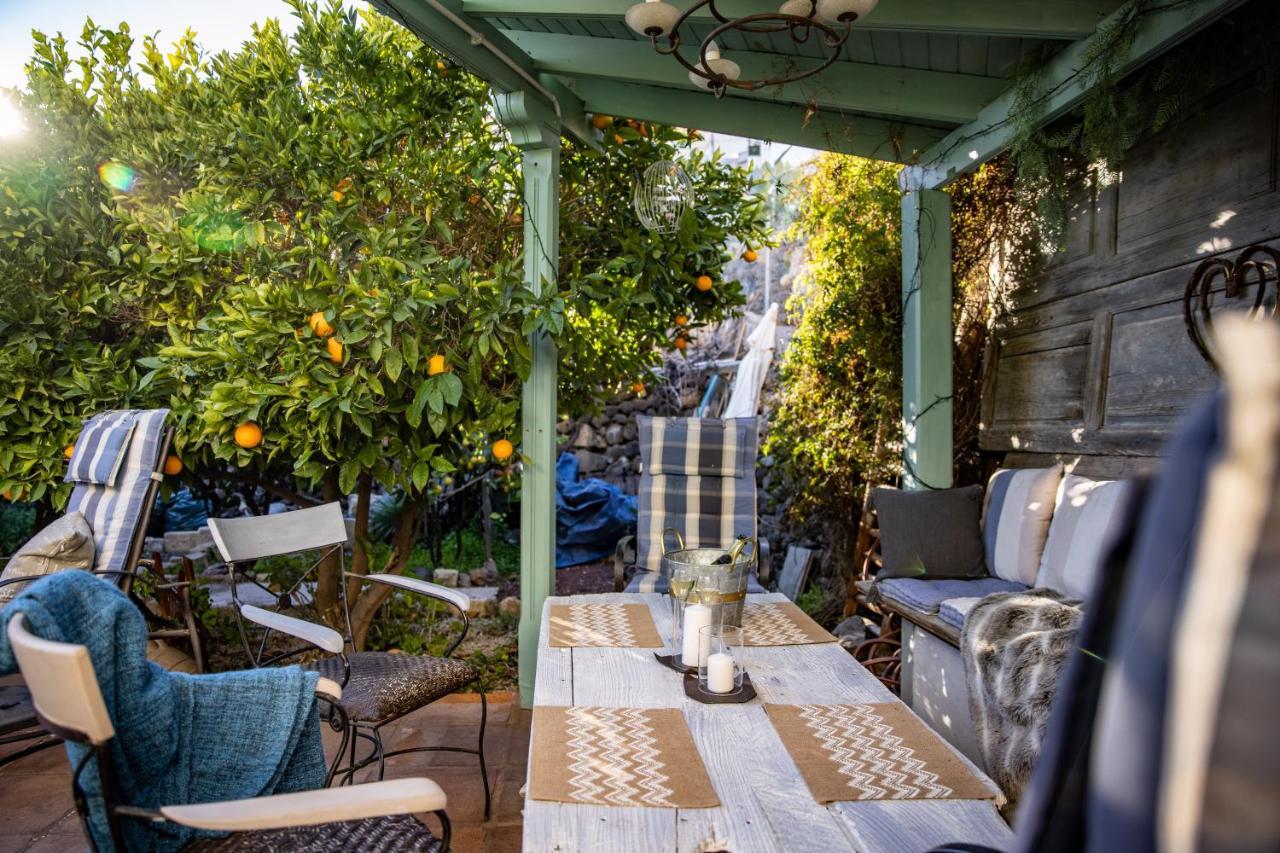 The Lemon Tree *
