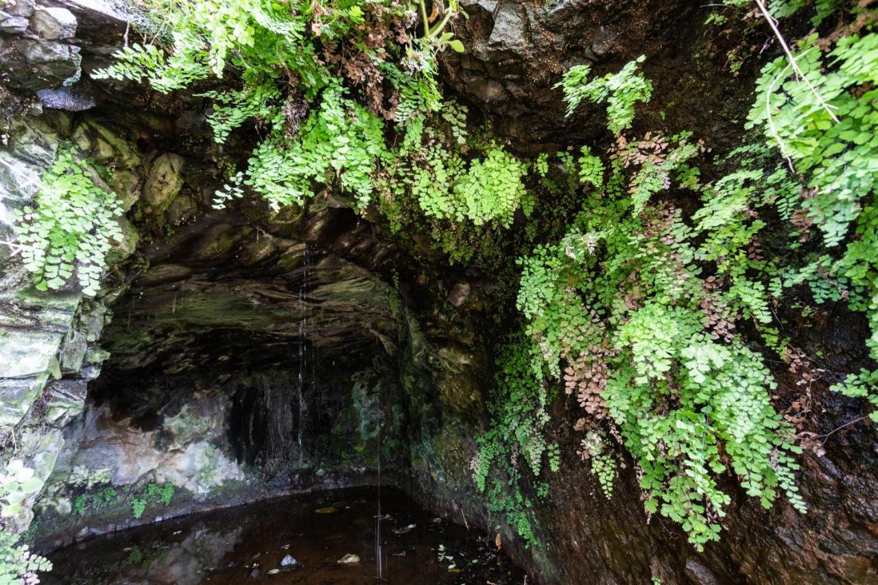 #1 Cave House Anaga, Unique Stay, Mountains And Private Sauna, *