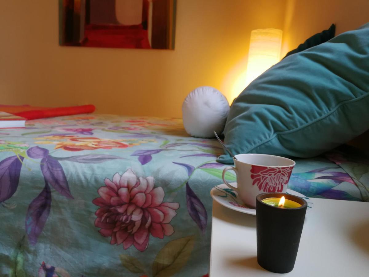 Welcome To Discover The Magic Amazing Tenerife !! Private Bath Breakast Wf :) Pensión Candelaria