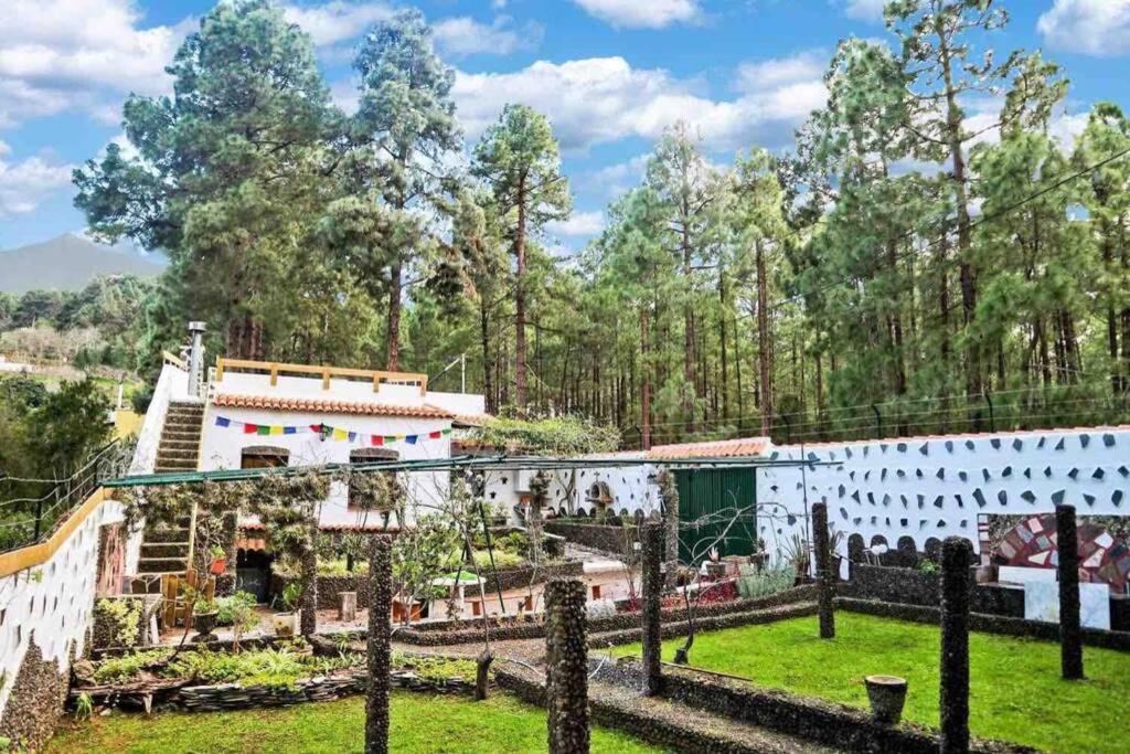 La Casa Encantada Del Bosque *