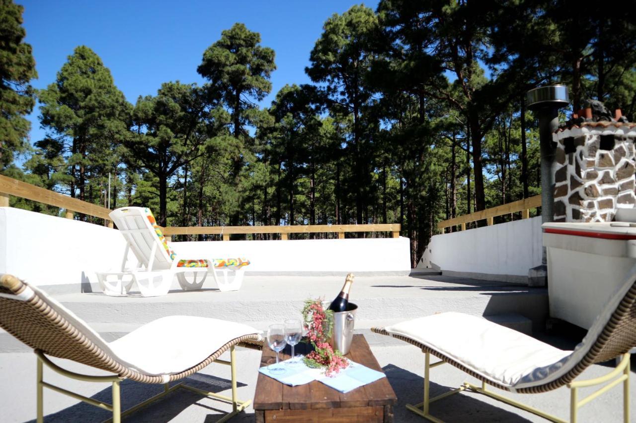 La Casa Encantada Del Bosque Hébergement de vacances Icod De Los Vinos