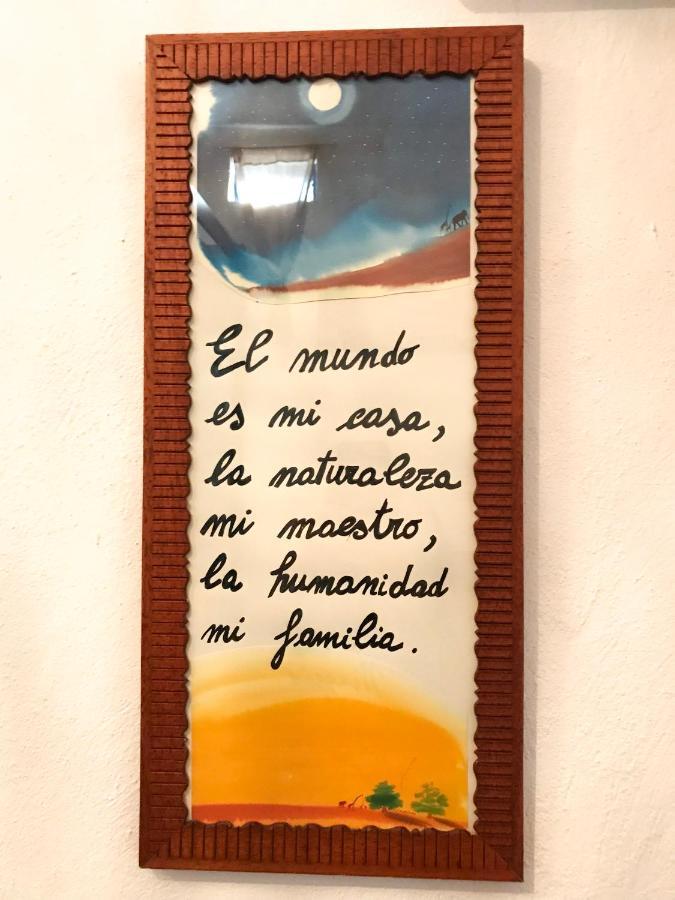 La Casa Encantada Del Bosque