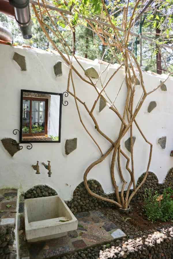La Casa Encantada Del Bosque * Icod De Los Vinos
