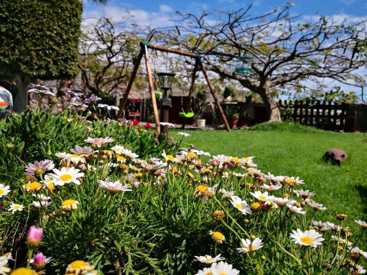 Casa Tara Holiday home Alcala (Tenerife)
