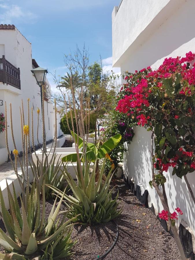 Apartment Charlotte Up Arona (Tenerife)