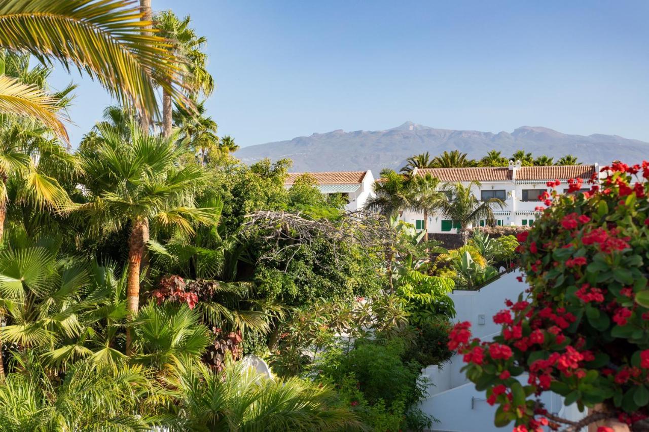 Home2book Cozy Costa Del Silencio, Pool * Arona (Tenerife)